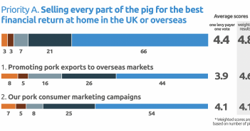Shape the Future results – pork levy payers back AHDB’s promotional work AHDB A