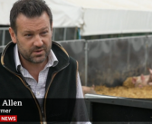 ‘A shortage of pigs is coming quickly’ – BBC highlights impact of soaring costs on farming