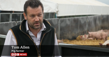 ‘A shortage of pigs is coming quickly’ – BBC highlights impact of soaring costs on farming Tom Allen Pig prices