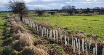 Sustainable Farming Incentive opens for applications in England SFI