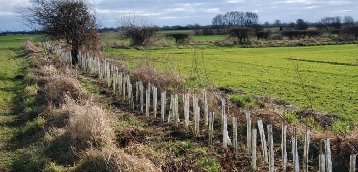 Sustainable Farming Incentive opens for applications in England