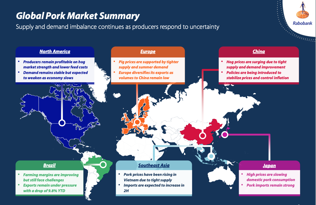 Source: Rabobank global  pork quarterly Q3 2022 report