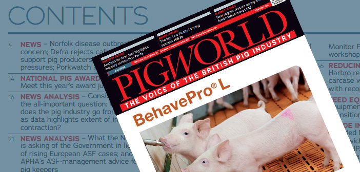 Pig World – July 2022
