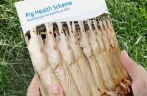 Pig Health Scheme manual web image