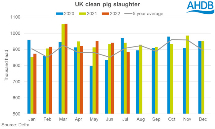 clean pig slaughter july22