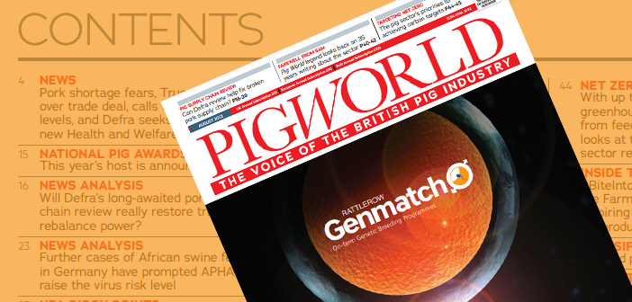 Pig World – August 2022