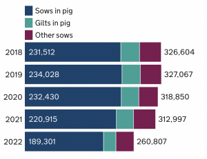 English female pig breeding herd 2018 to 2022