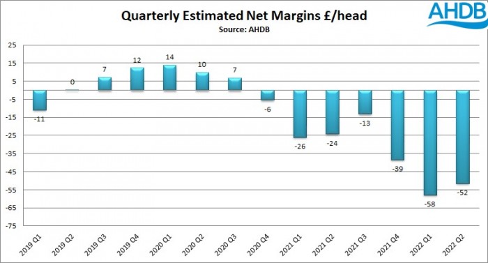 net margins