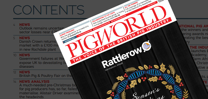 Pig World – December 2022