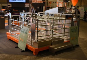 Big Dutchman box for sows