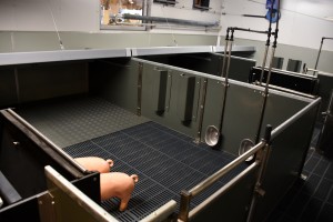 Danbox Danmark climate pen