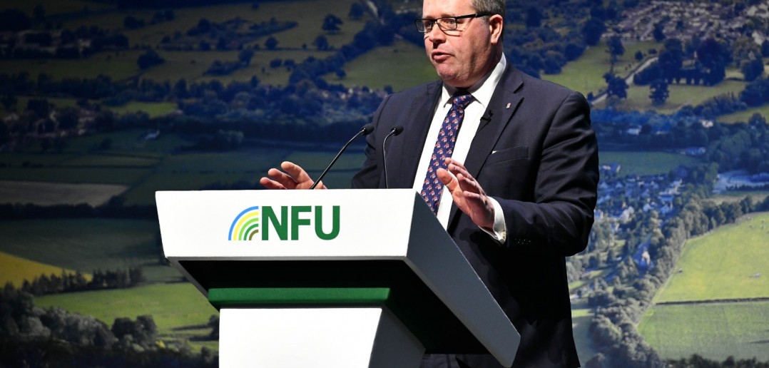 Spencer insists Defra dedicated to efficient ASF controls – however no reaction to request for brand spanking new assessments