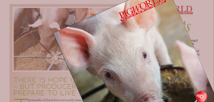 Nutrition Supplement 2023 Pig World Nutrition Supplement Digital Edition Feb 23