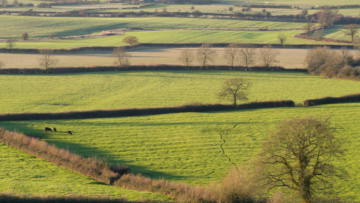 Farming projects to receive a share of £30m government funding