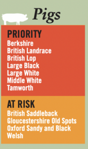 2023 RBST Watchlist - Pigs
