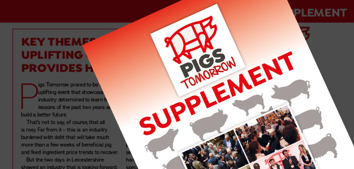 Pigs Tomorrow Supplement 2023