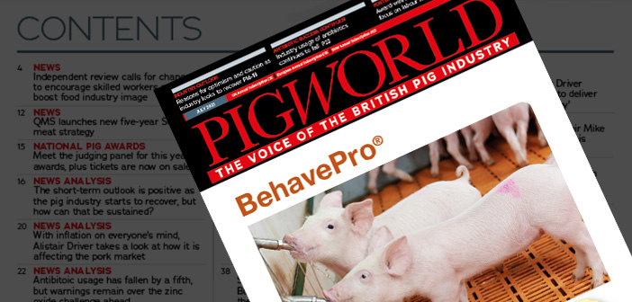 Pig World – July 2023