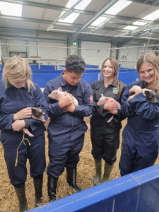 Lead Animal Management students 2 piglets in arms