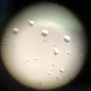 RVC receives investment for illness analysis