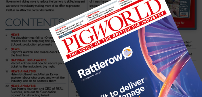 Pig World – August 2023