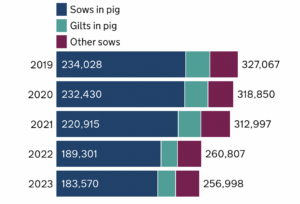 Breakdown of the female pig breeding herd in England at 1 June (Number of pigs)
