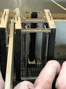 Single-space creep feeder station ensures individual usage is recorded