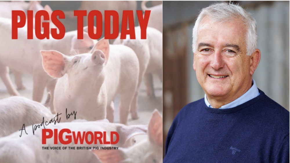 Pigs Nowadays podcast: AHDB Red meat Sector Chair units out case for levy building up