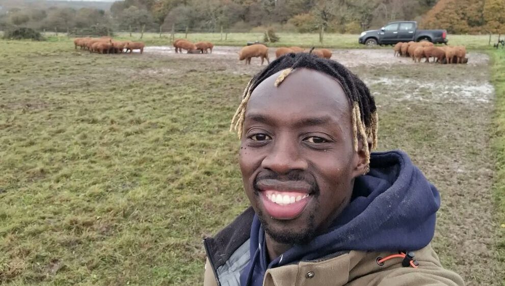 Masses taking place on our new farm tenancy – and I’m additionally seeking to get supermarkets to concentrate