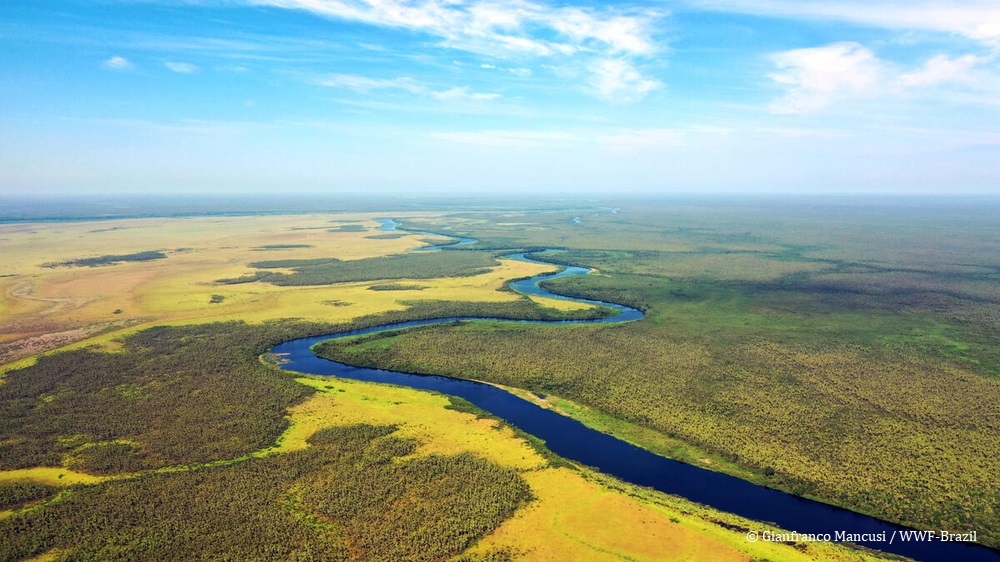 Aerial view of pantanal in Tres Gigantes, Paraguay.
