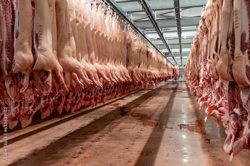 UK pig slaughter numbers declined by way of 10% in March