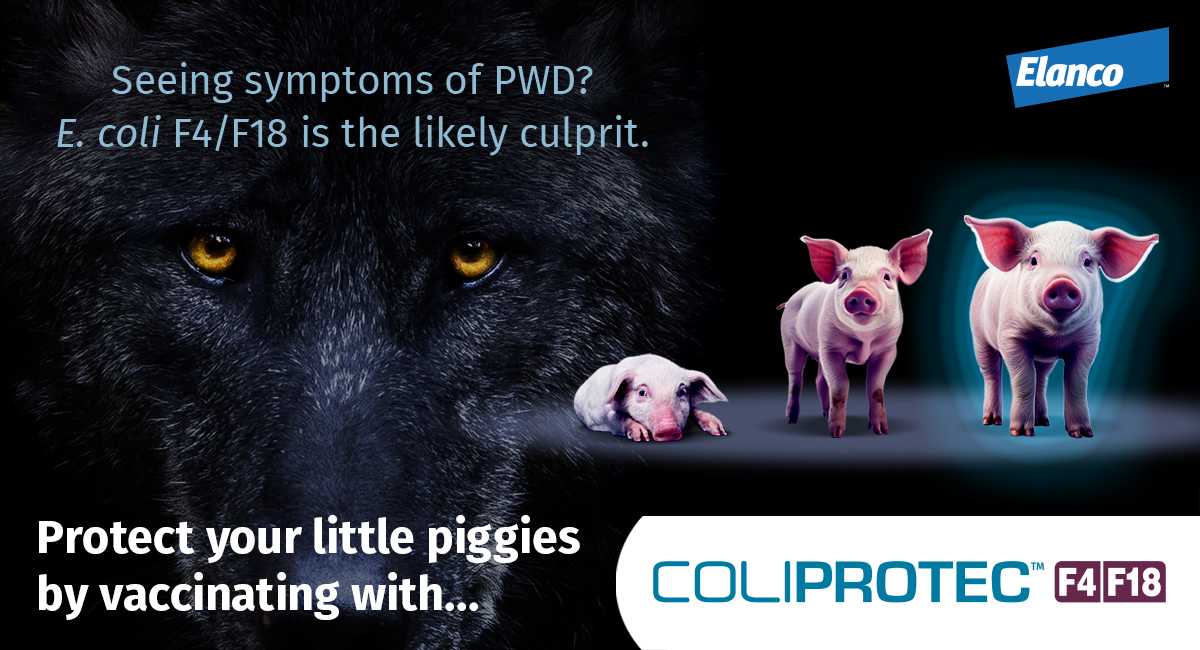 Take on the basis reason behind PWD with unfastened diagnostic assessments