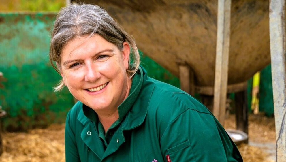 The Pig Well being and Welfare Pathway – what’s in it for me?