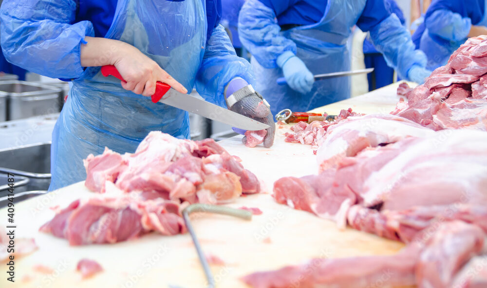 ‘Determined’ meat processor CEOs name for assembly with House Place of job to speak about immigration wage hike