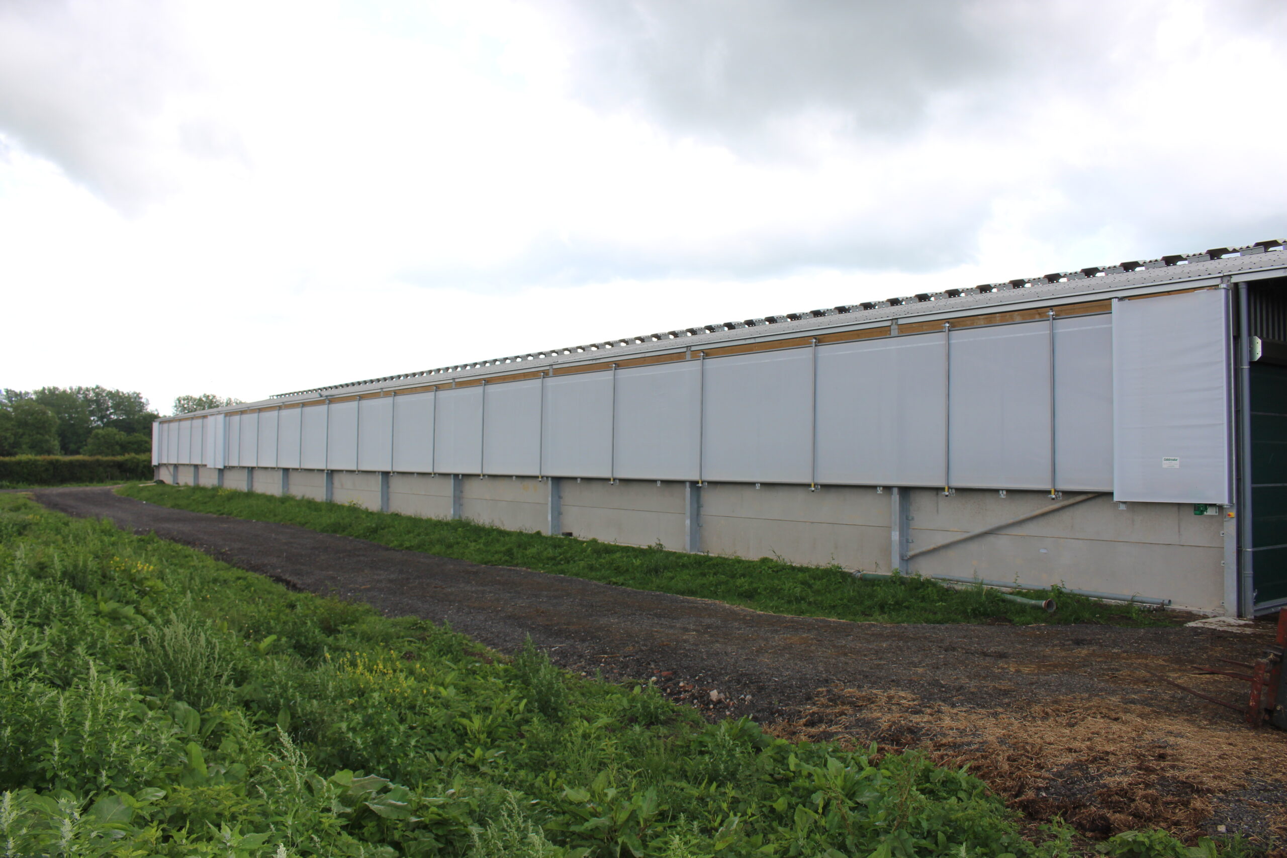 Animal well being and welfare, slurry and productiveness grants to be had beneath Farming Apparatus and Era Fund 2024