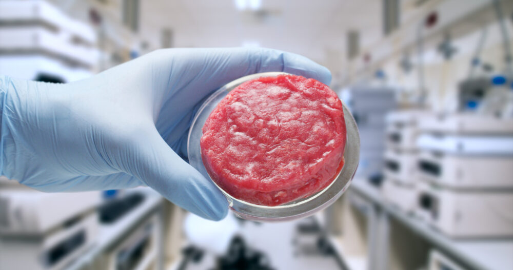 FSA criticised over push to fast-track ‘lab-grown meat’ approvals in the United Kingdom