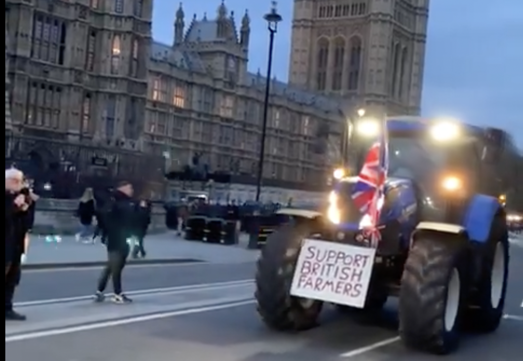 Farmers protest in Westminster over loss of enhance for meals manufacturing