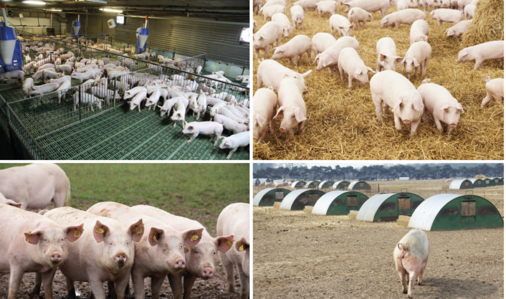 Research: New labelling plans search to unravel one drawback whilst developing a far larger one