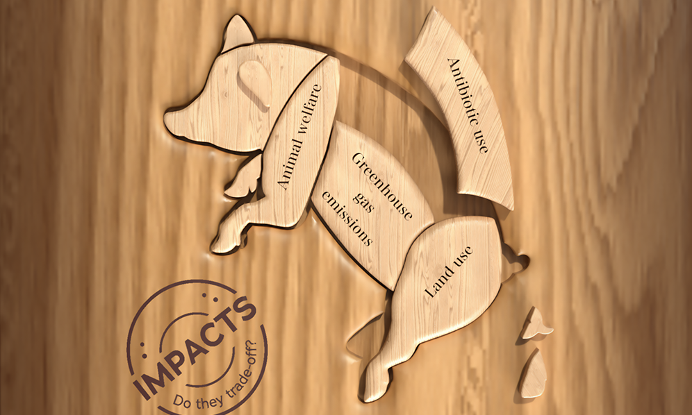 Present meals labels don’t mirror pig farms’ environmental and welfare efficiency, new learn about presentations